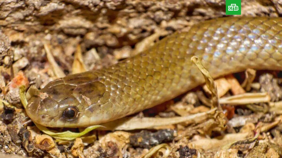    Фото: gaceta.unam.mx
