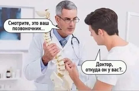 Как смех помогает сосредоточиться? Веселая порция Приколов! 🤣