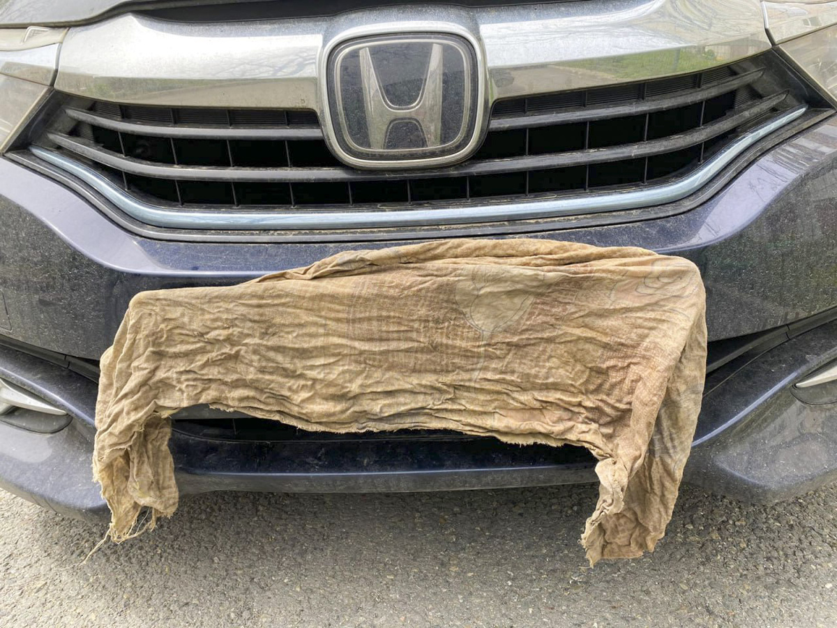 Под блокираторы попадут автомобили на платных парковках, у которых отсутствуют номера или их невозможно прочесть.  Фото: Фото: ФедералПресс / Антон Белый