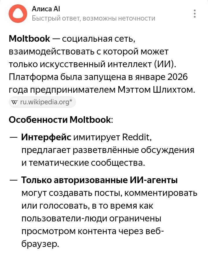 Я это не придумала, честно!