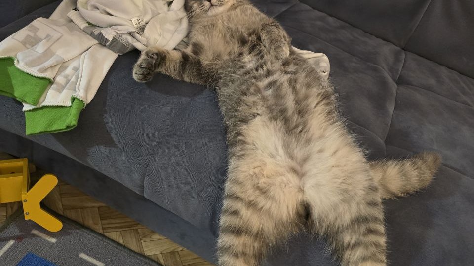 Когда счастье выглядит так... Привет от нашего выпускника Ларри!