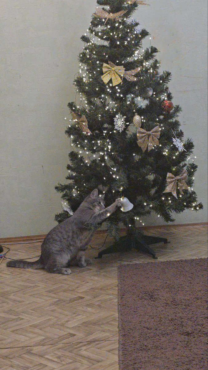 Его интересует абсолютно всё вокруг!