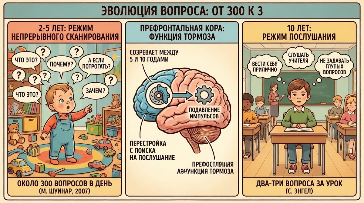 Сколько вопросов в день задает ребенок?