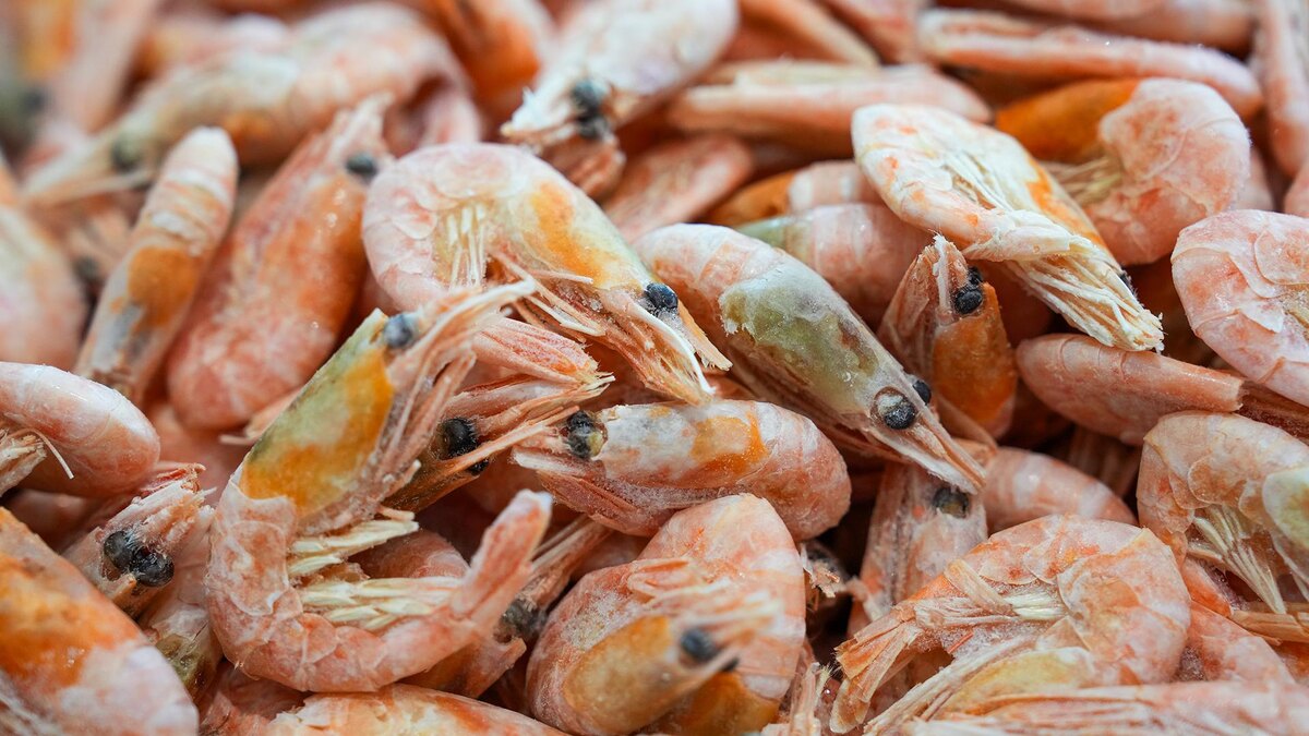    Фото: ИЗВЕСТИЯ/Дмитрий Коротаев