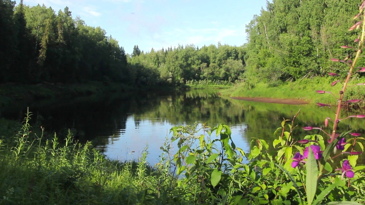    Заповедник «Малая Сосьва» отмечает 50-летие