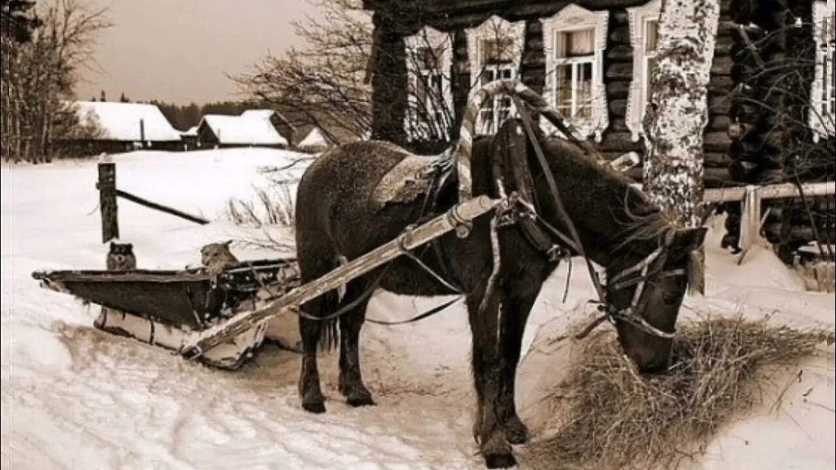 Фото из сети интернет