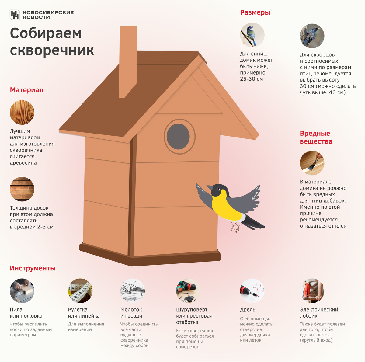    Инфографика: nsknews.info