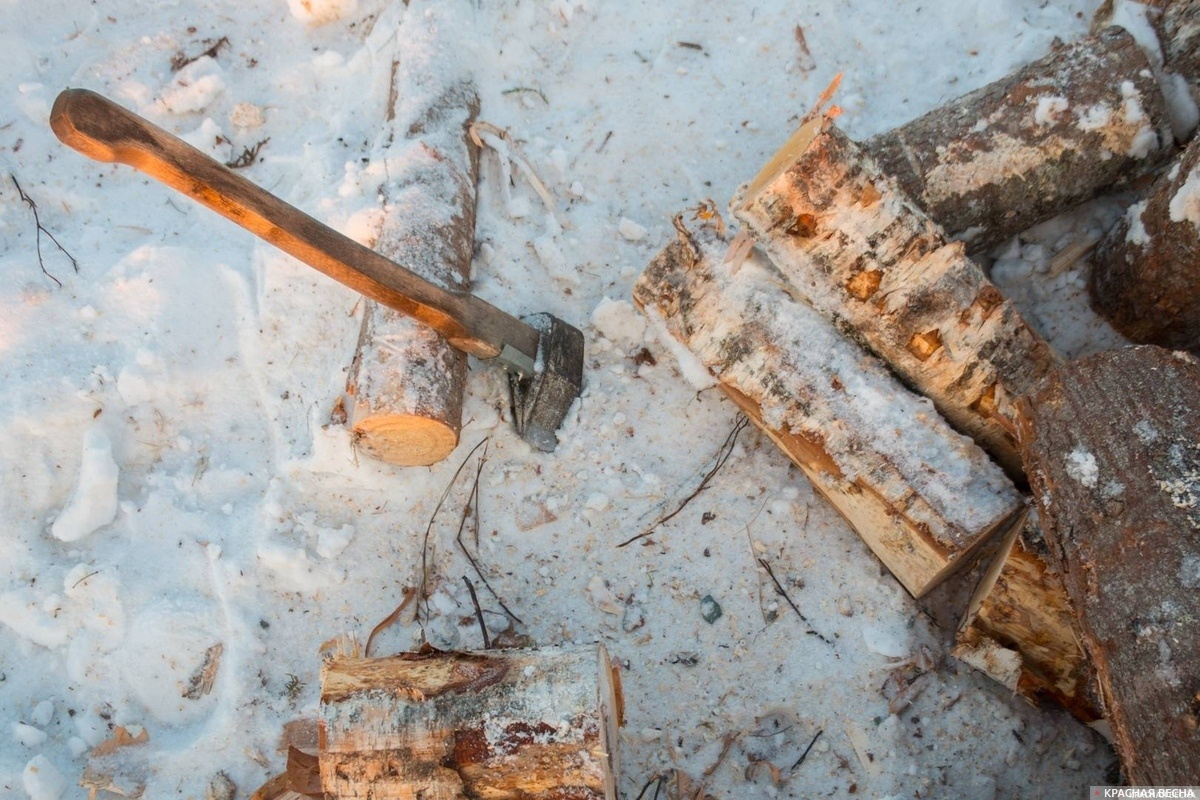     Дрова   
Андрей Алексеев © ИА Красная Весна