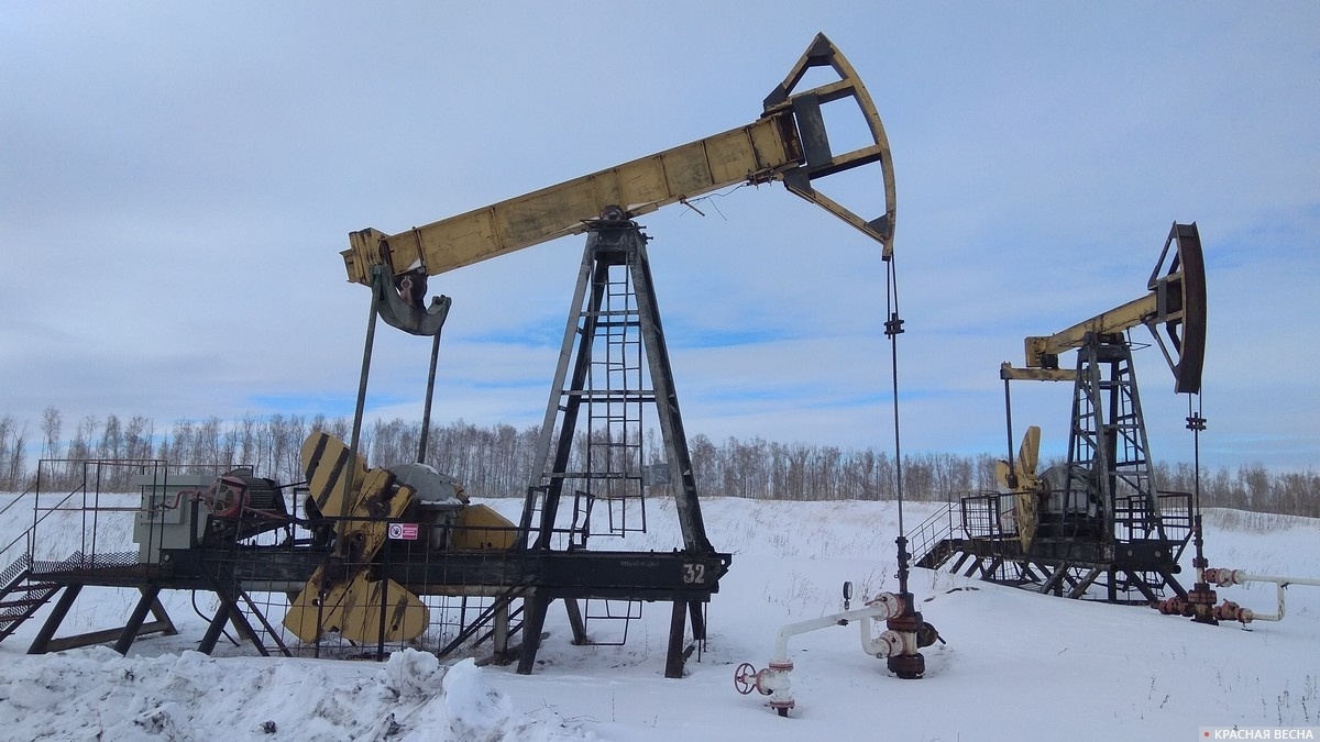     Нефтедобыча   
Павел Редин © ИА Красная Весна