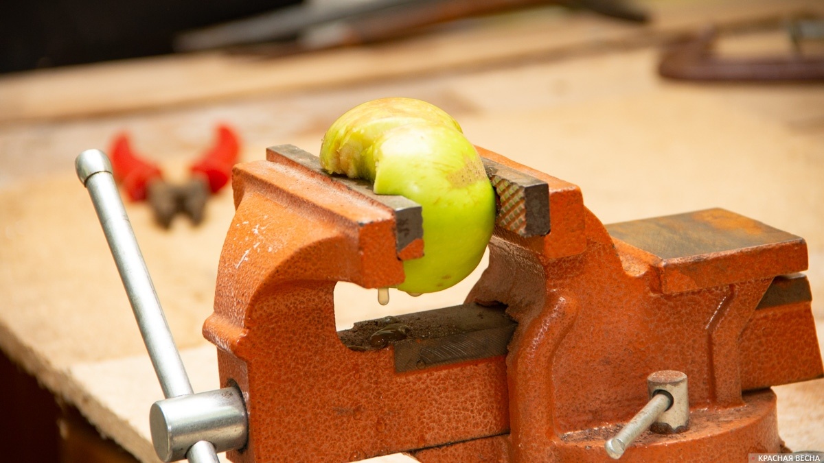     В тисках   
Павел Редин © ИА Красная Весна