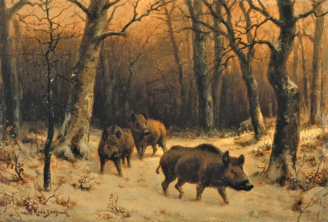     Роза Бонер. Дикие кабаны в снегу. 1870