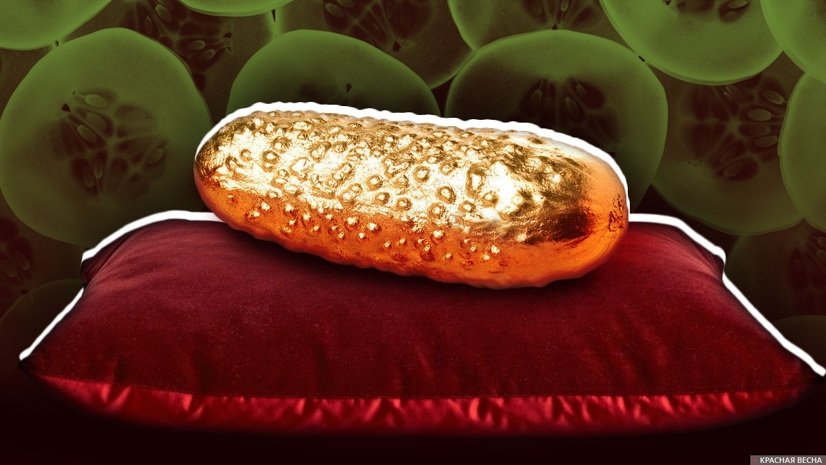     Золотой огурец   
Скопина Ольга © ИА Красная Весна