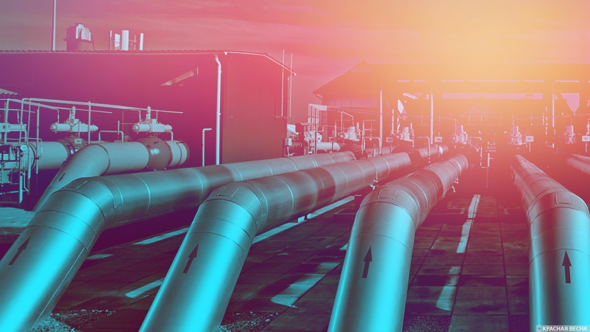     Газопровод   
Ольга Скопина © ИА Красная Весна