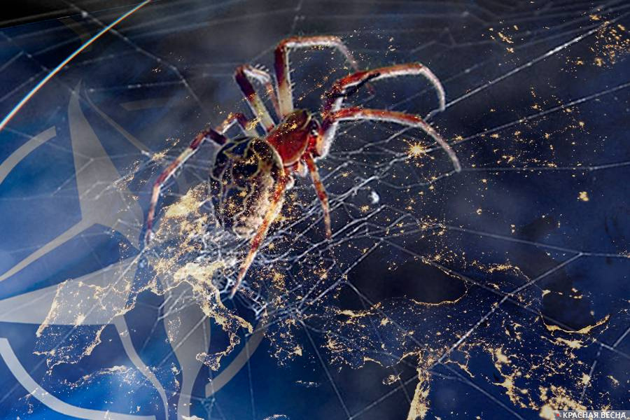     НАТО   
Сергей Анашкин © ИА Красная Весна