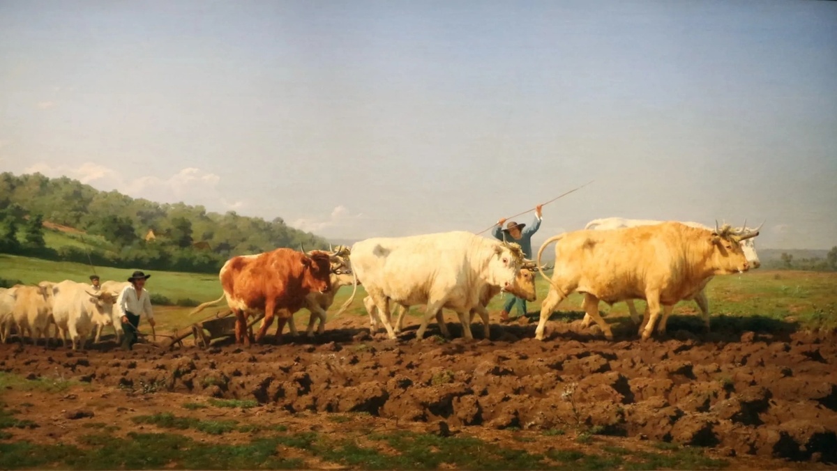     Роза Бонёр. Волы на пашне. 1849   
undefined