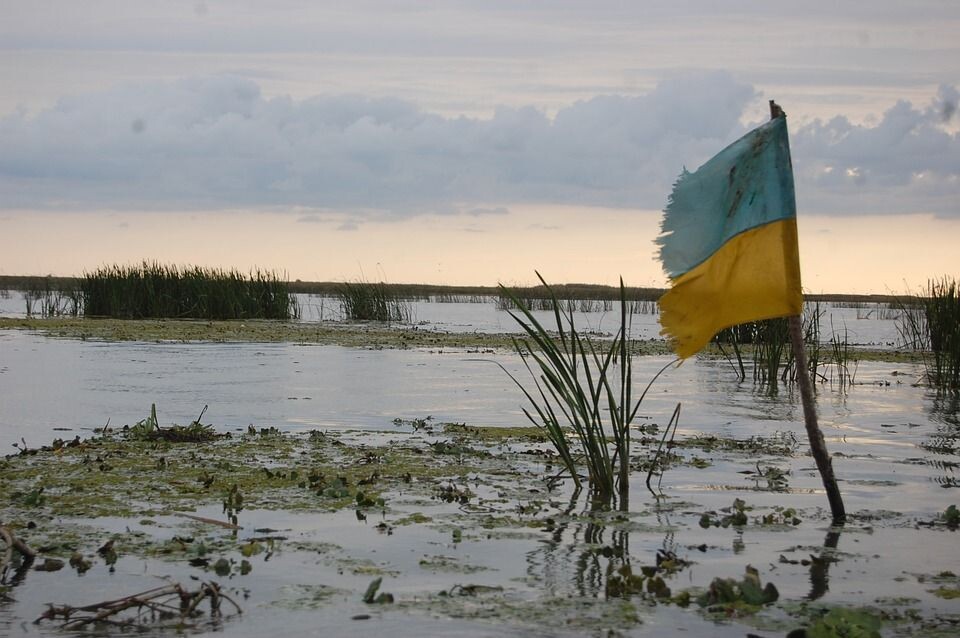     Украина в болоте   
(сс) chief39