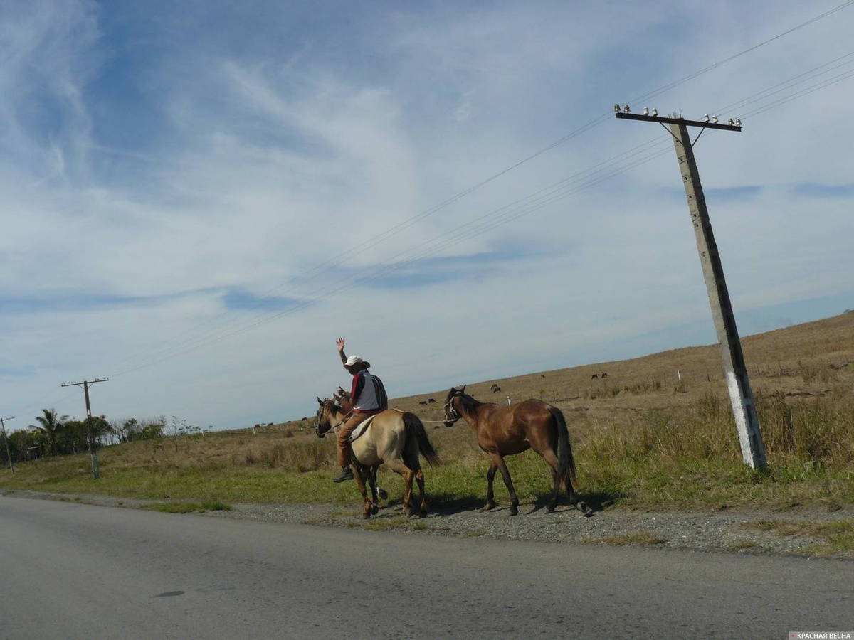     Сельская дорога   
Сергей Орлов © ИА Красная Весна