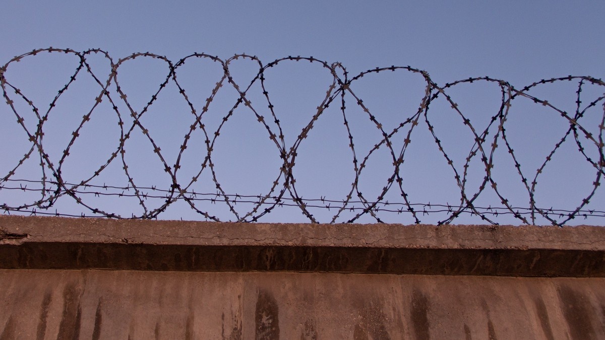     Забор. Колючая проволока   
Павел Редин (C) ИА Красная Весна