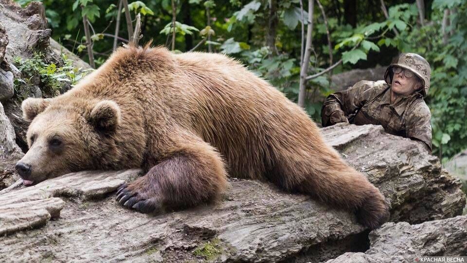     Российская угроза   
Сергей Анашкин © ИА Красная Весна