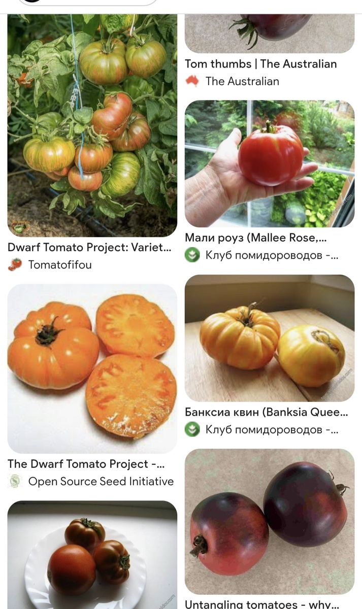 Фото с интернета