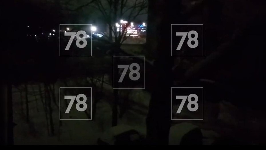    Автор фото: 78.ru