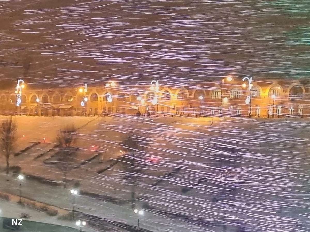 фото Нины Загребиной