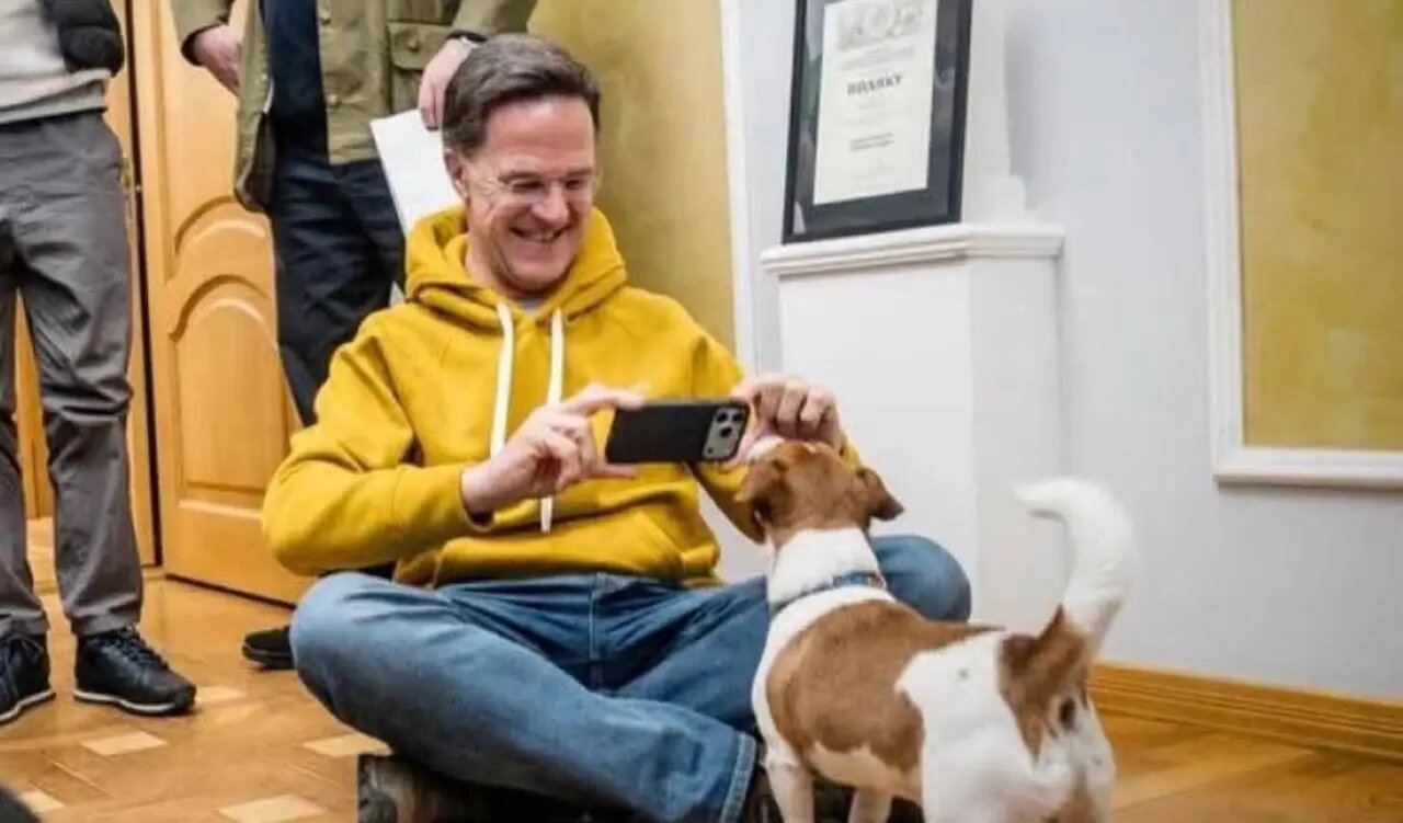 Генсек НАТО: Я посмотрел псу Патрону в глаза, и он мне сказал...