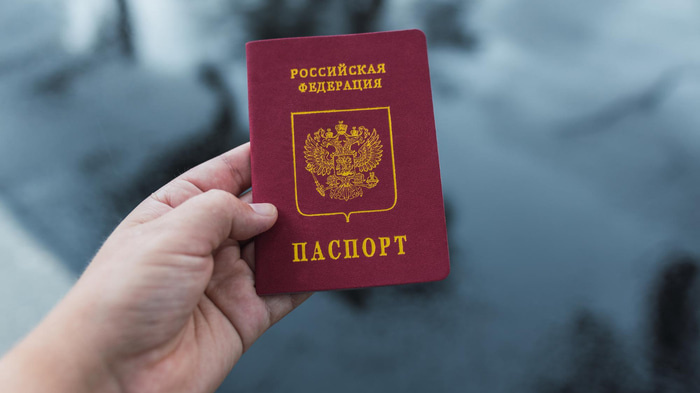    Фото: Freepik.com