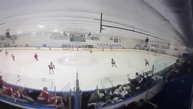    Стрельба произошла на хоккейном матче в США