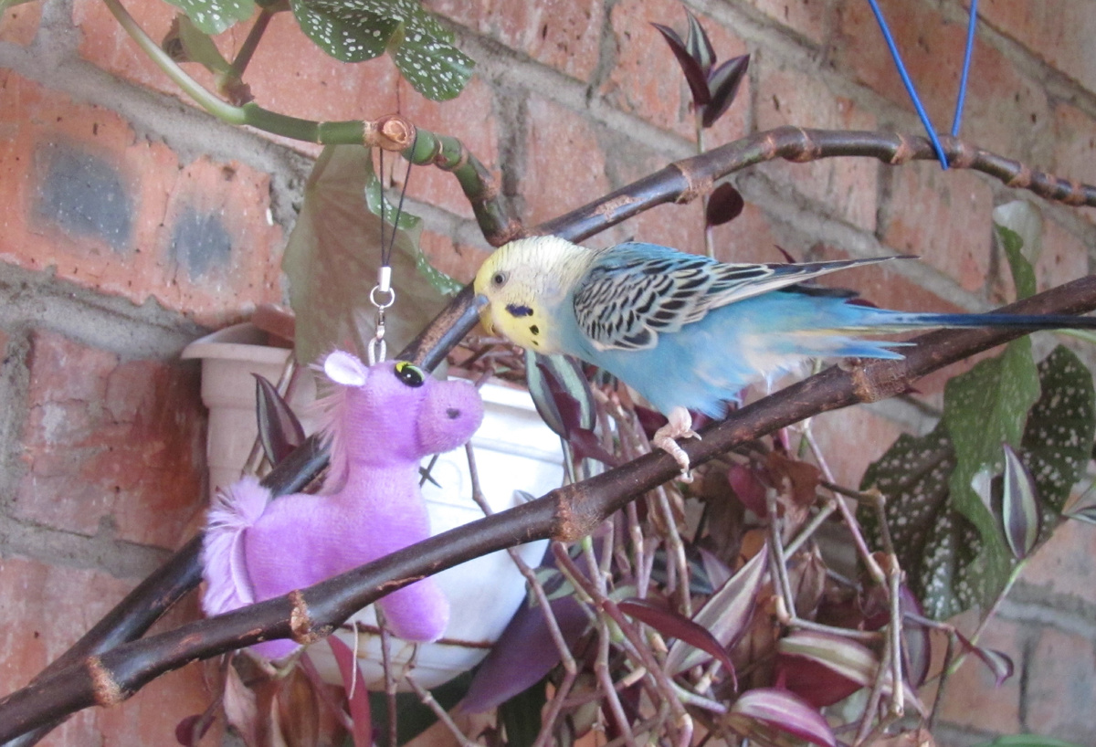 Мягкая красивая игрушка стала другом
