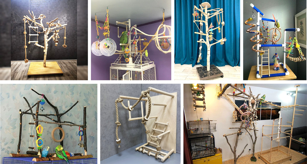 Бесконечное разнообразие игровых стендов для любимчиков-попугайчиков