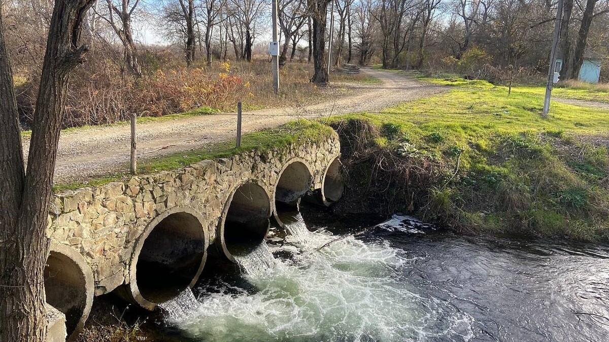    Фото: телеканал «Краснодар»