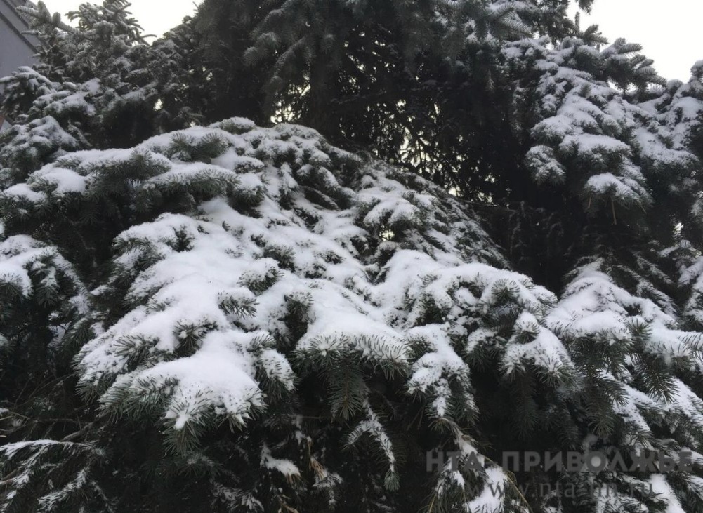    Народные приметы: 17 февраля