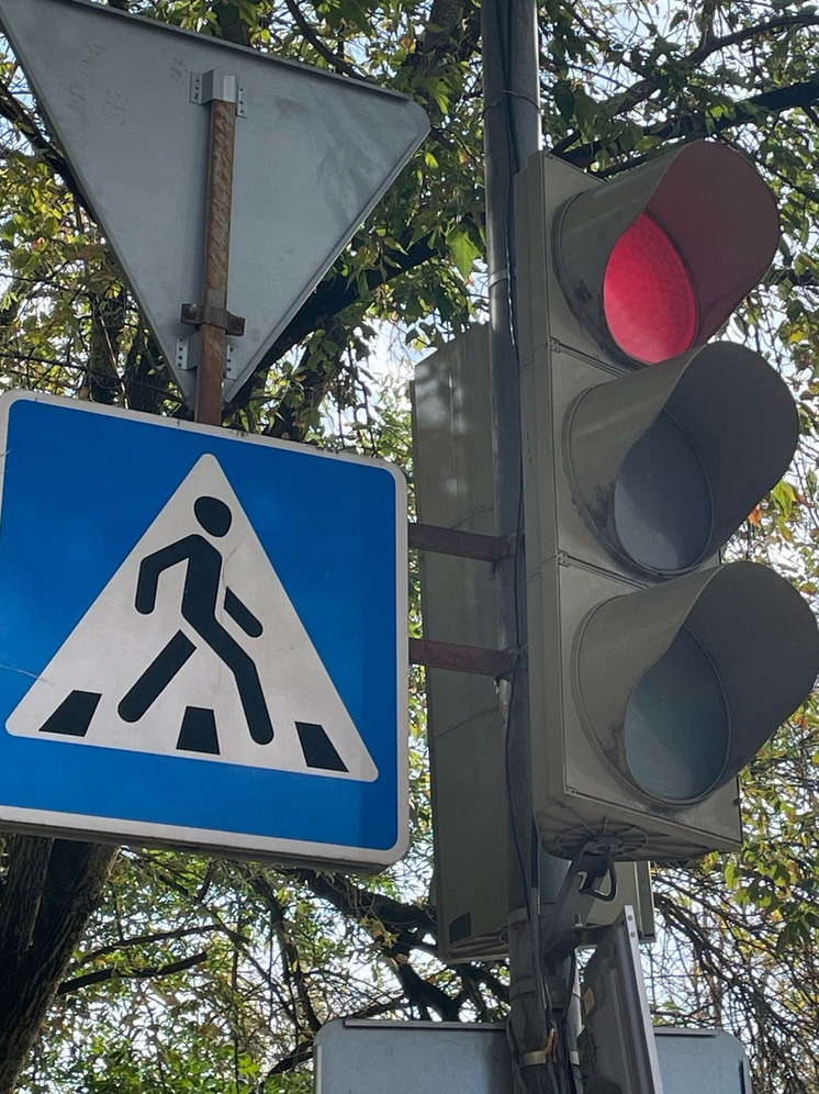     Фото: "МК в Калуге"