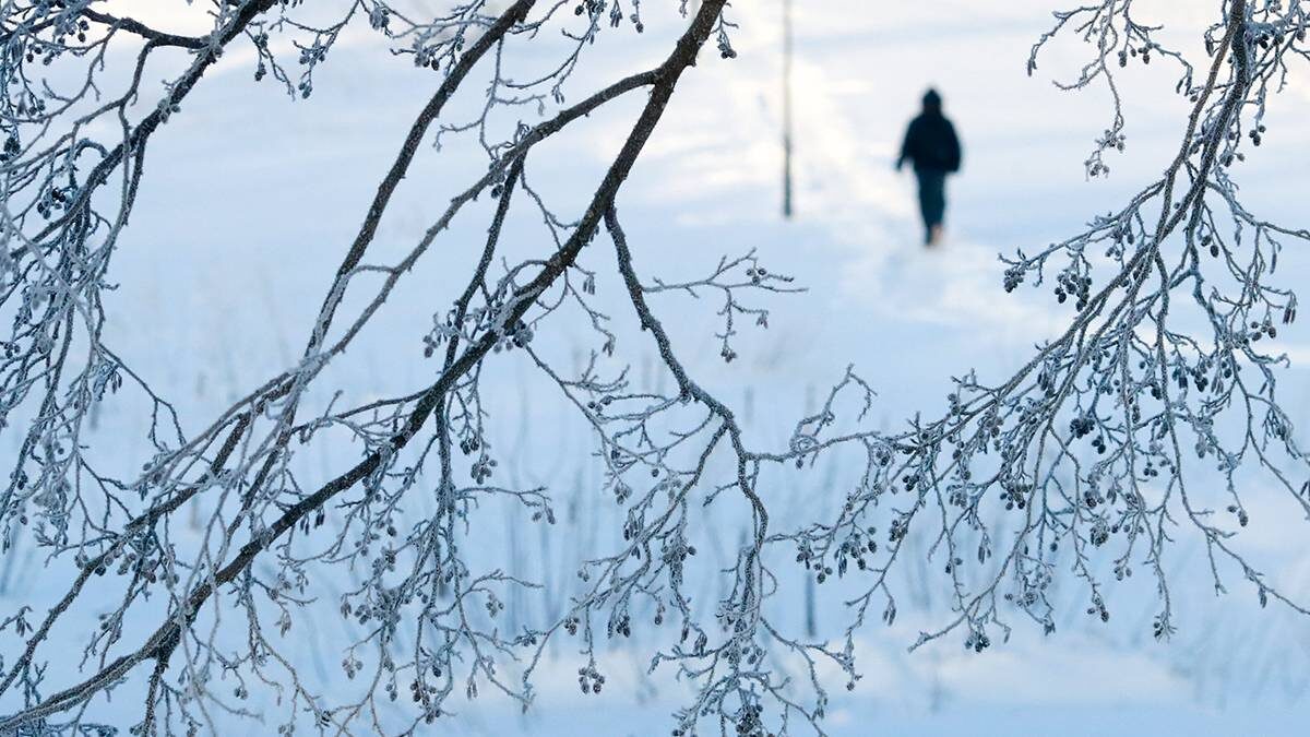    Фото: Василий Кузьмиченок / АГН Москва