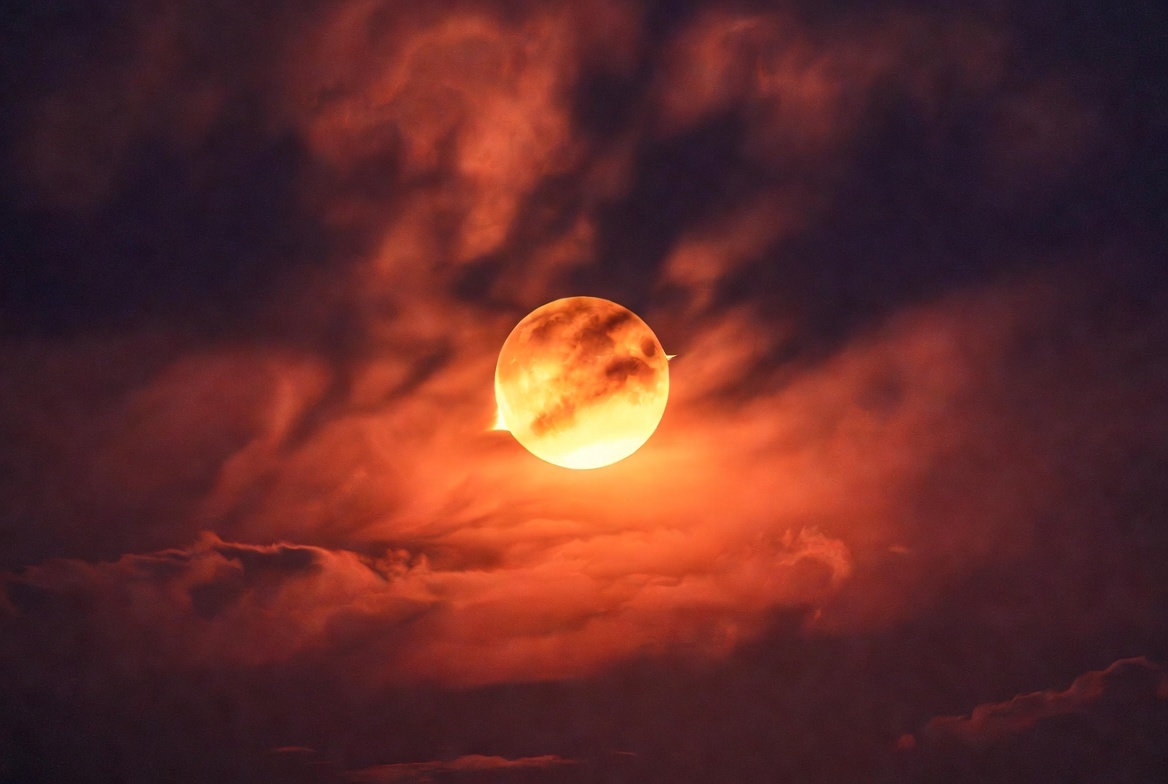 Изображение Grok  📷
