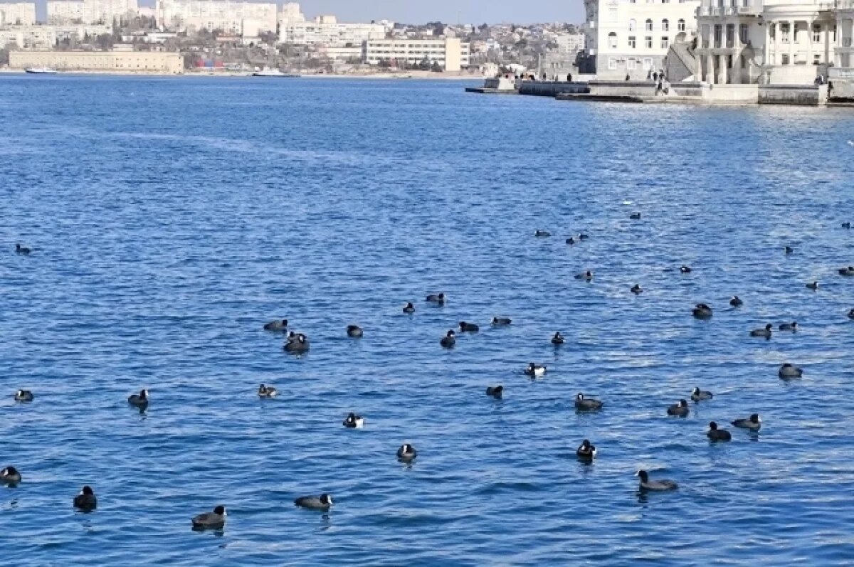    В Севастополе оказана помощь ребенку с порезами от осколков выбитого окна