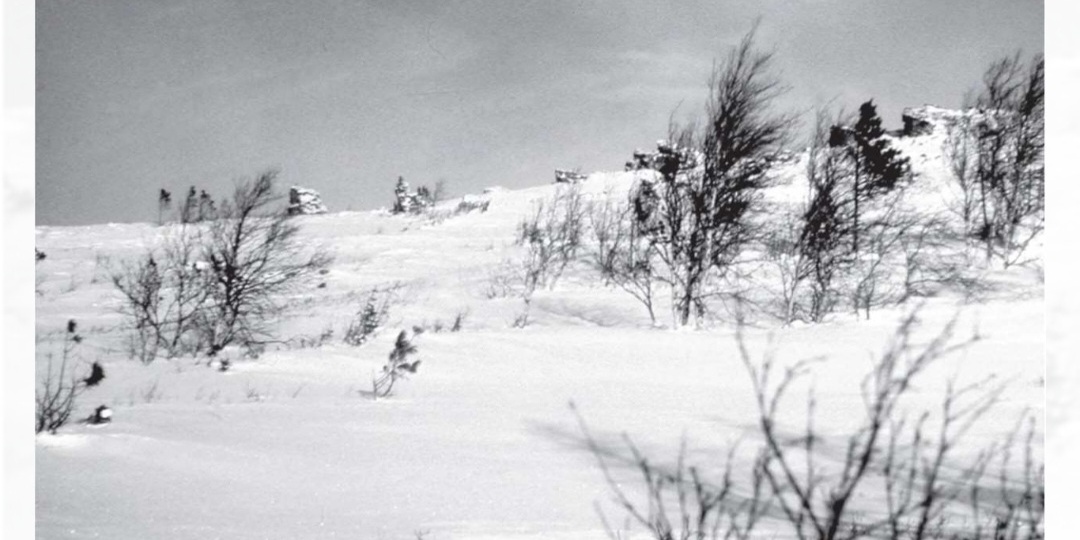 С.Согрин "Слабые моменты версий"