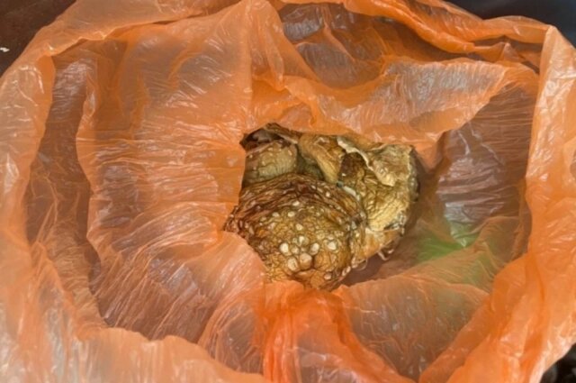    Фото: пресс-служба УМВД России по Хабаровскому краю