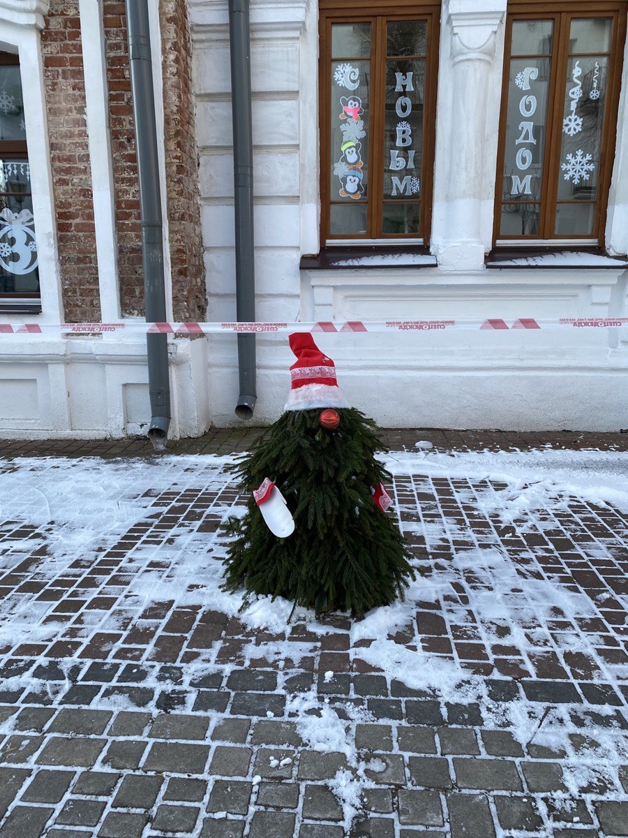 фото автора статьи