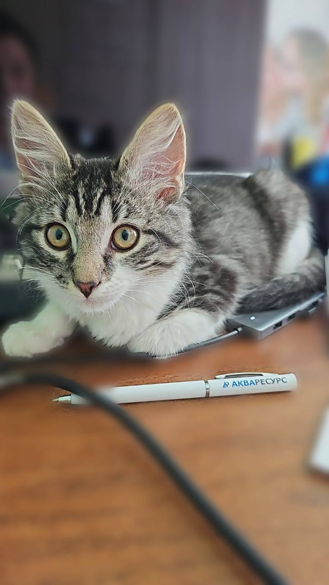 Мягкая вода ,в чем её польза: 🤔

Давайте разберемся 👇🏻
⚡️Электричество расходуется меньше (накипь мешает теплопередаче)
🧴Моющих средств требуется в 3 раза меньше
🧽Грязь с тканей и посуды смывается легче
🫖Дольше срок службы у водонагревательных приборов
🪨Снижает риск образования камней в почках
👶Риск аллергии у детей уменьшается в 2 раза 
💇‍♀️Волосы легко расчесываются и не тускнеют (особенно у блондинок)
🦠Чувствительная кожа защищена от раздражений

Мягкая вода важна для нашей жизнедеятельности в современном мире

Расчет станции очистки воды проводится индивидуально за считанные минуты и уже на следующий день мы можем установить Вам систему

+7 985 556 50 50
+7 919 967 51 51
Всегда Ваш, Акваресурс🫶

#фильтрыдляводы #анализводы  #водоочистка #умягчение