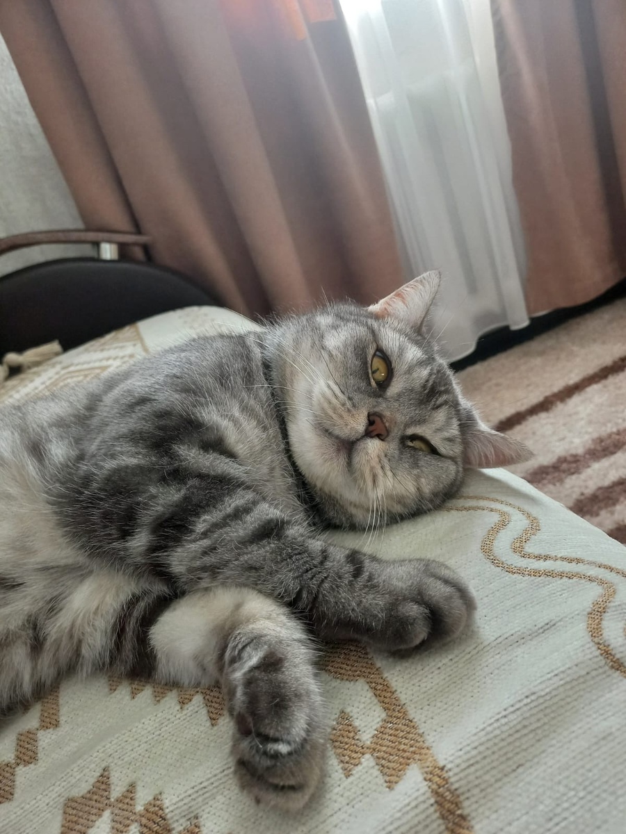 иллюстрация из яндекс картинки.