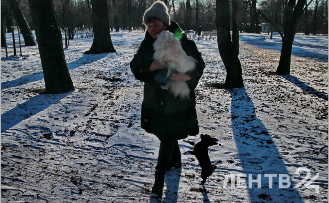    © Анастасия Илюшина / ЛенТВ24, архивное фото