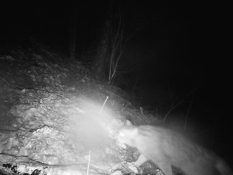    Фото: Минприроды Краснодарского края