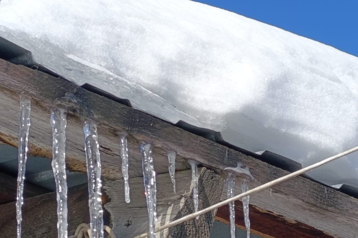    Фото: Прецедент