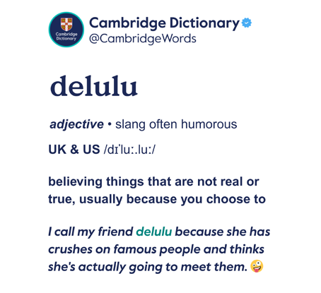 Instagram post announcing the addition of ‘delulu’ to the Cambridge Dictionary. Courtesy of Cambridge Dictionary