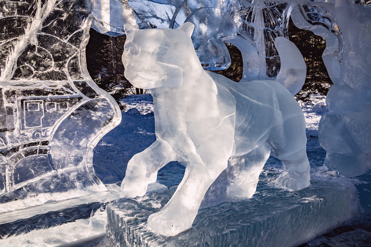 Фото: Иванна Обухович/«Культура 38»