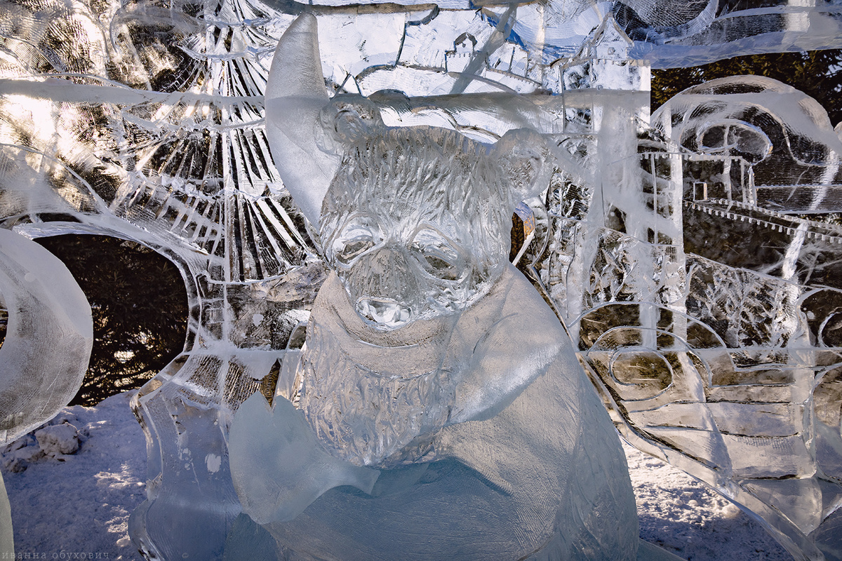 Фото: Иванна Обухович/«Культура 38»