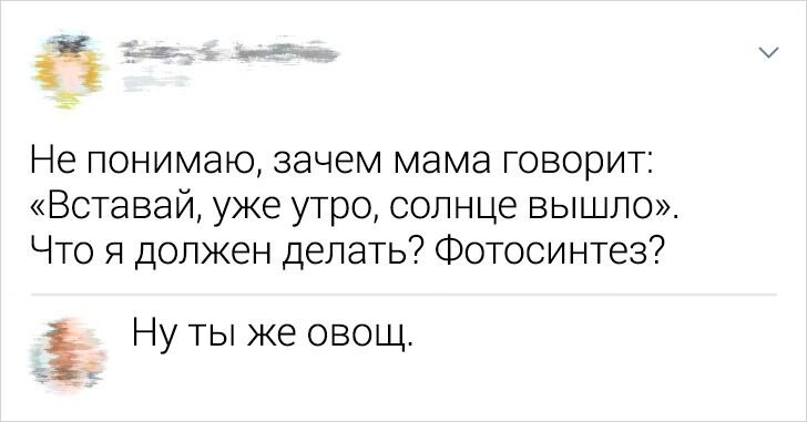 © Fortissimo / Pikabu