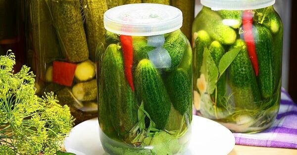 Хрустящие огурчики на зиму: как выбрать идеальные плоды для засолки 🥒✨